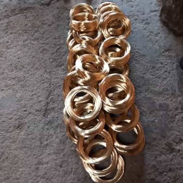 1702358502211.webp
